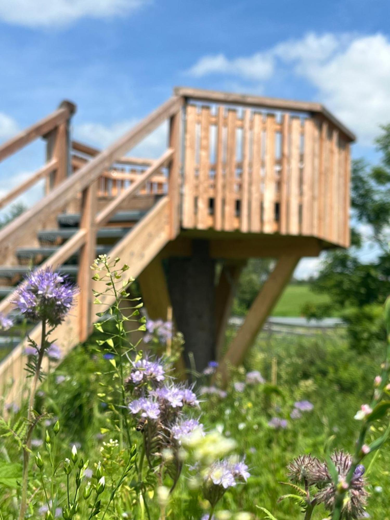 Wald Ist Zukunft 호텔 베른보이렌 외부 사진