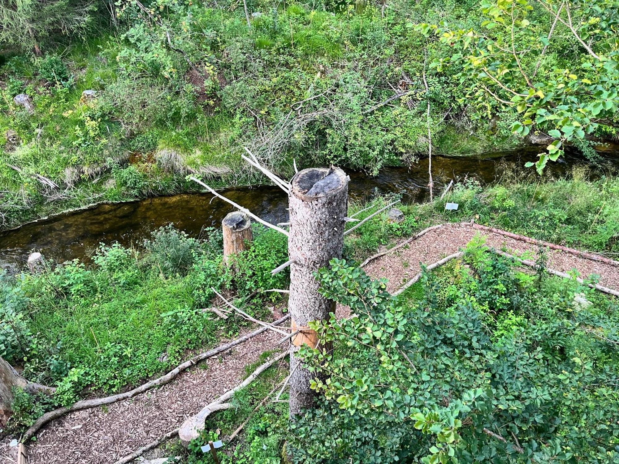 Wald Ist Zukunft 호텔 베른보이렌 외부 사진