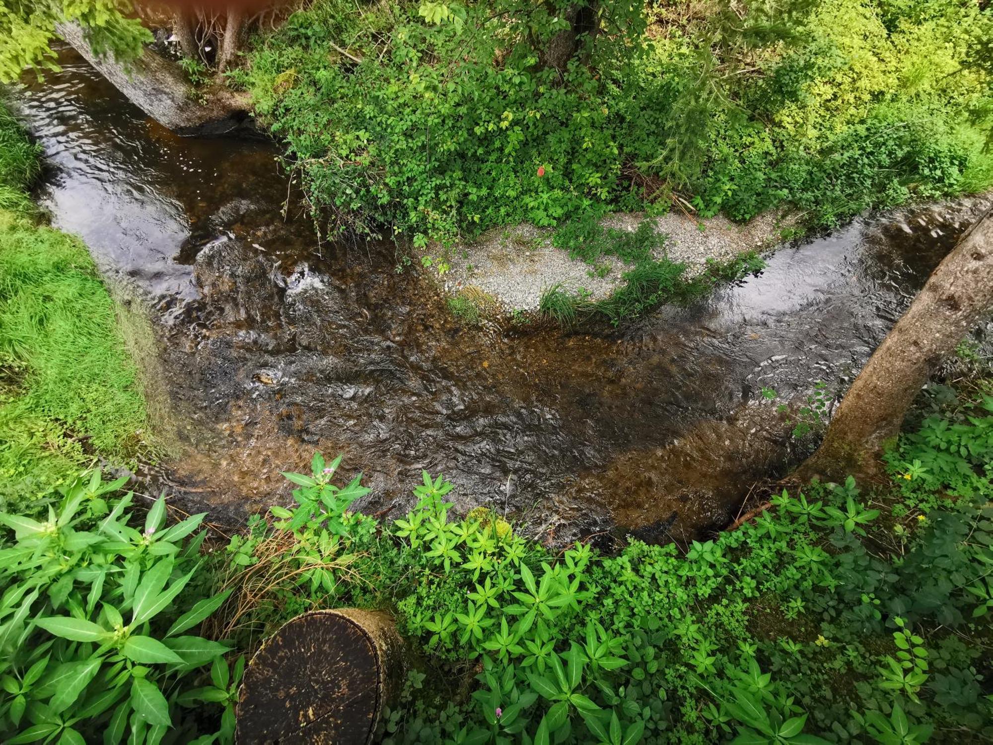 Wald Ist Zukunft 호텔 베른보이렌 외부 사진