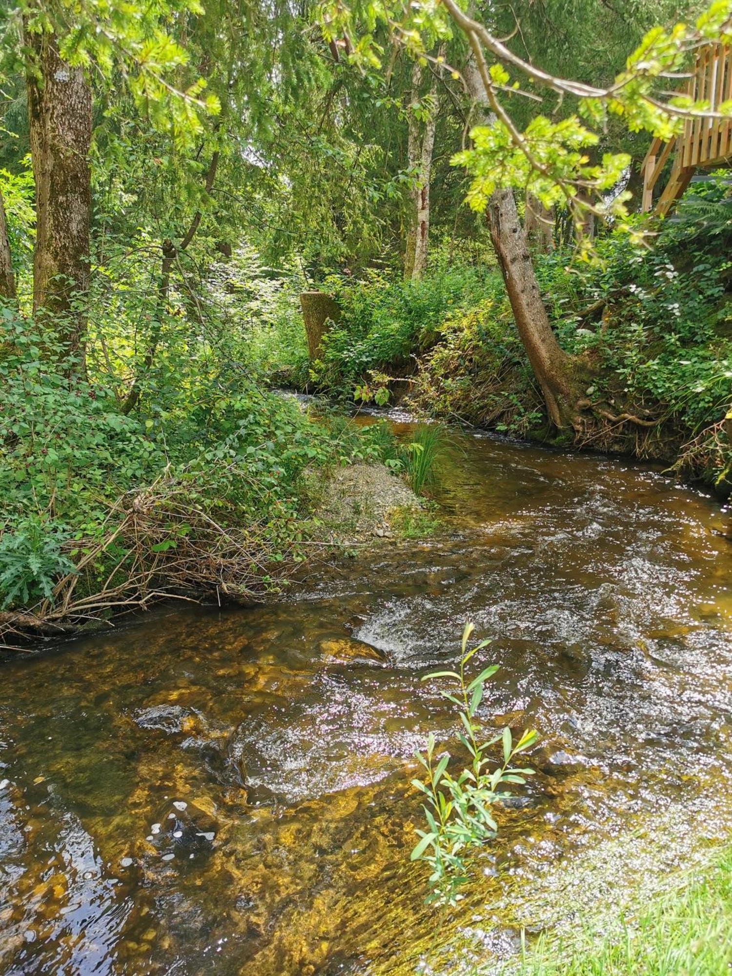 Wald Ist Zukunft 호텔 베른보이렌 외부 사진
