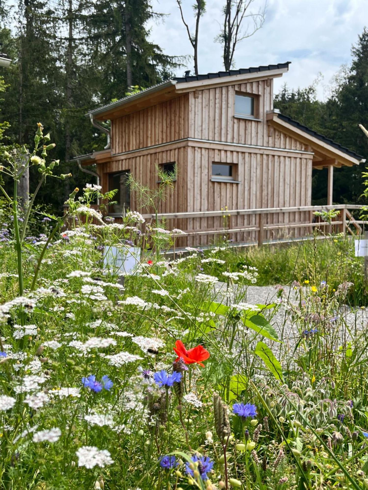 Wald Ist Zukunft 호텔 베른보이렌 외부 사진