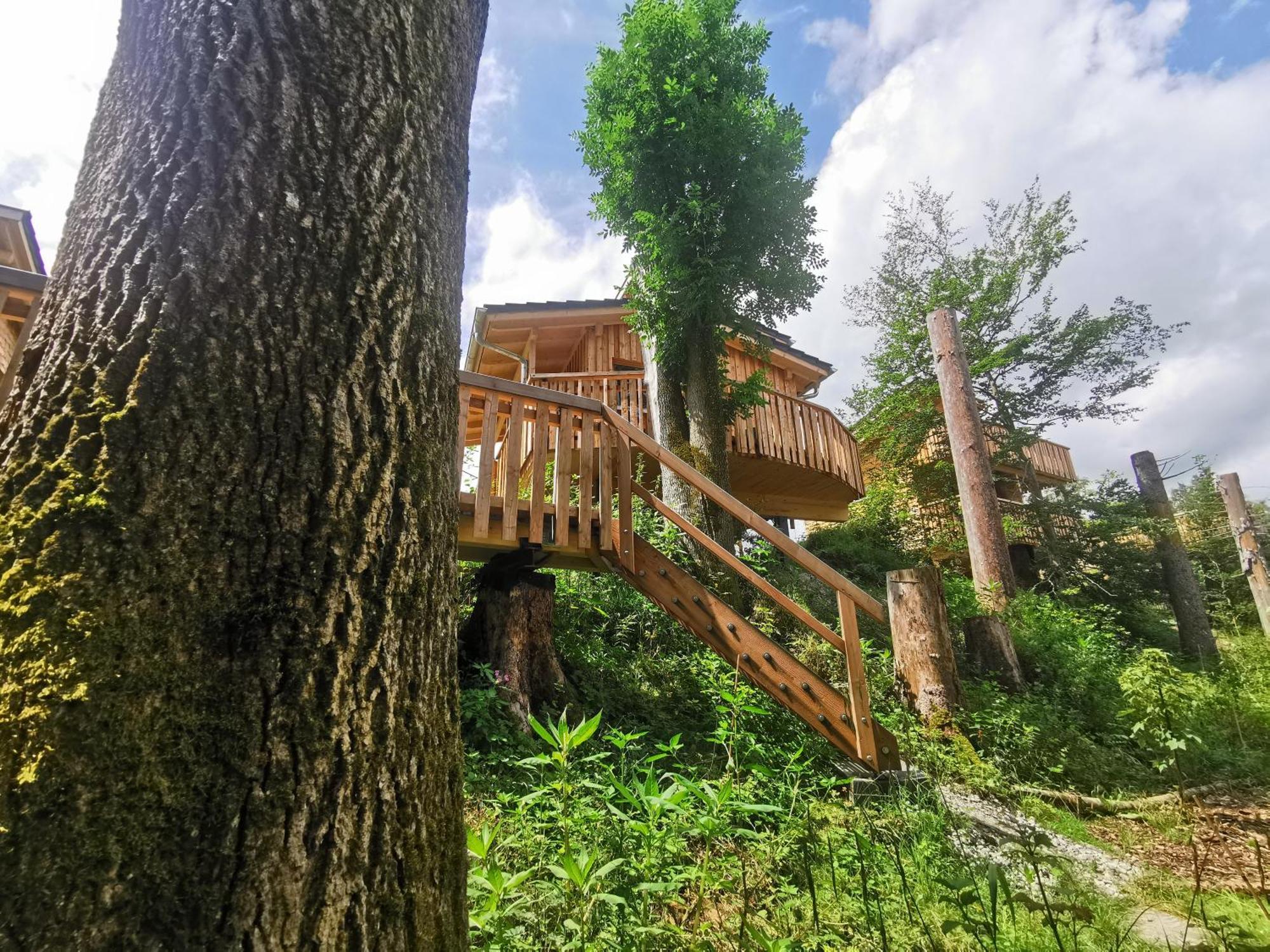 Wald Ist Zukunft 호텔 베른보이렌 외부 사진