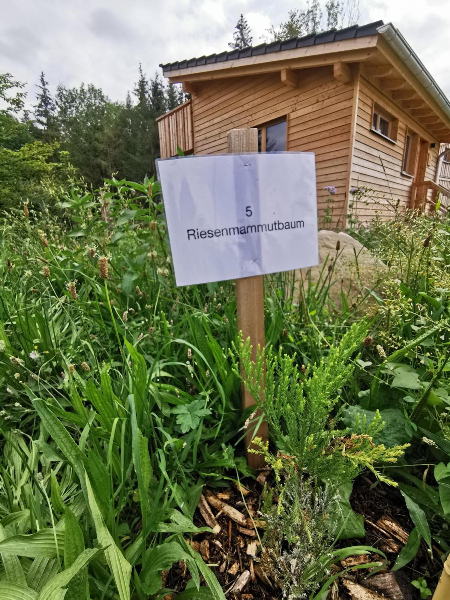 Wald Ist Zukunft 호텔 베른보이렌 외부 사진