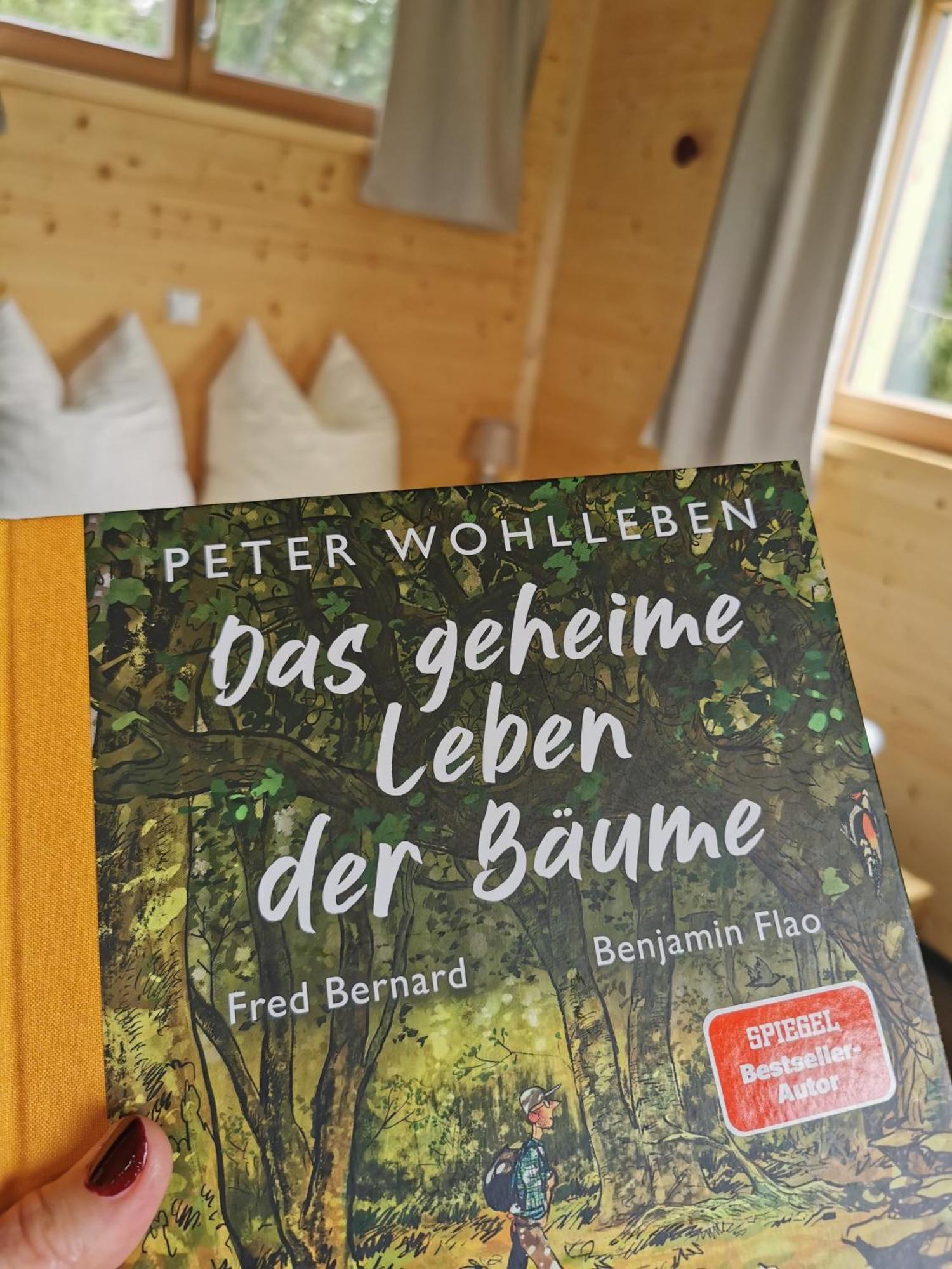 Wald Ist Zukunft 호텔 베른보이렌 외부 사진