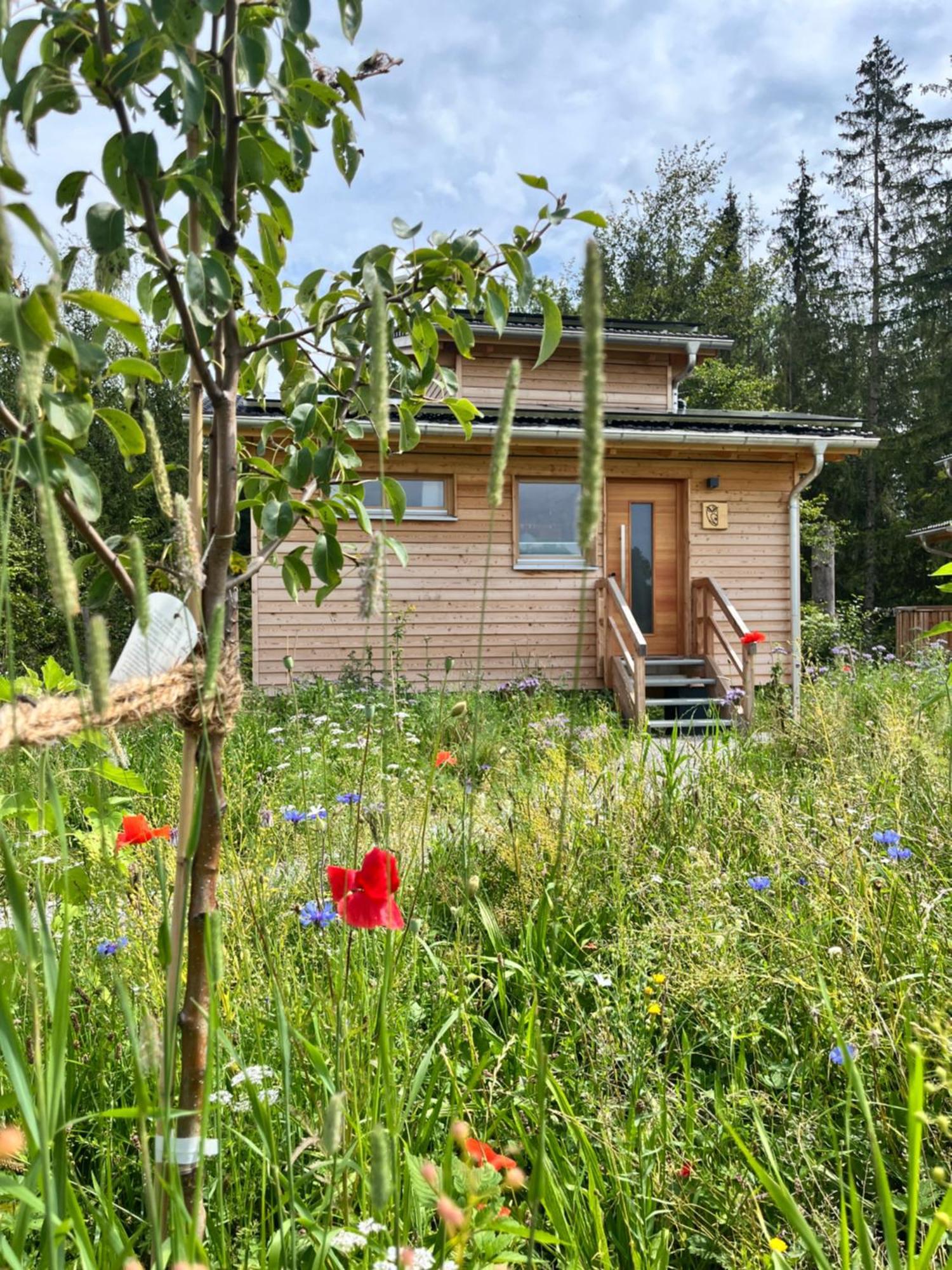 Wald Ist Zukunft 호텔 베른보이렌 외부 사진