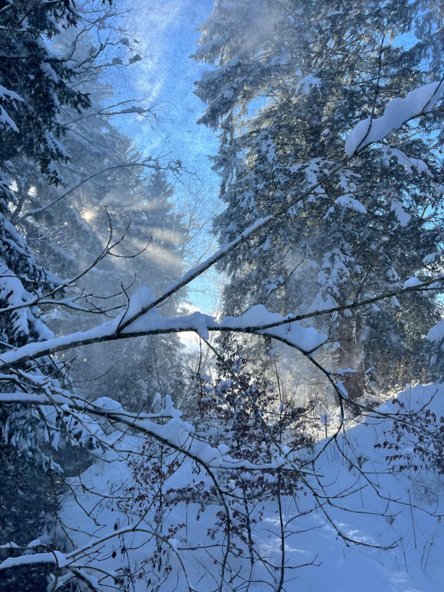 Wald Ist Zukunft 호텔 베른보이렌 외부 사진